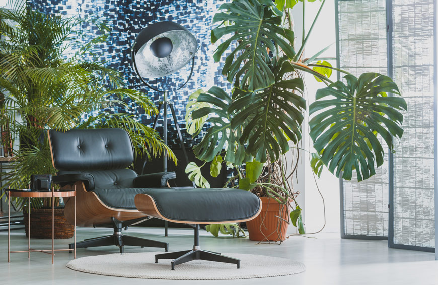 Amazing Indoor Trees