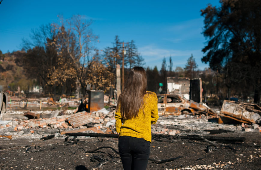 Care For Trees After Wildfire