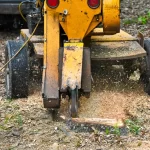 Complete Guide to Stump Grinding for a Cleaner, Safer Yard