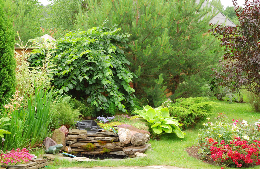 Difference Between Reactive Preventative Tree Care