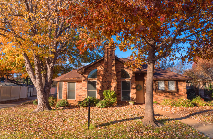 Fall Tree Watering Habits