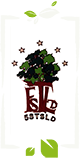 Five Star Tree Services Logo