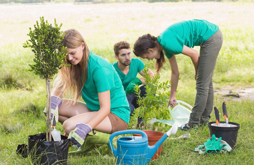 Get Land Ready For Spring Tree Planting