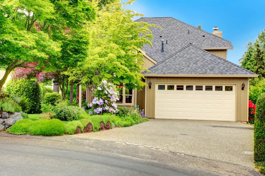 How Trees Add Value To Your Home