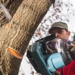 Markham Tree Removal Pricing: Factors That Impact Your Quote