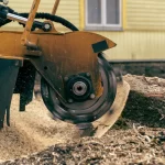 Optimizing Your Landscape: Why Stump Grinding Matters & How to Do It Right