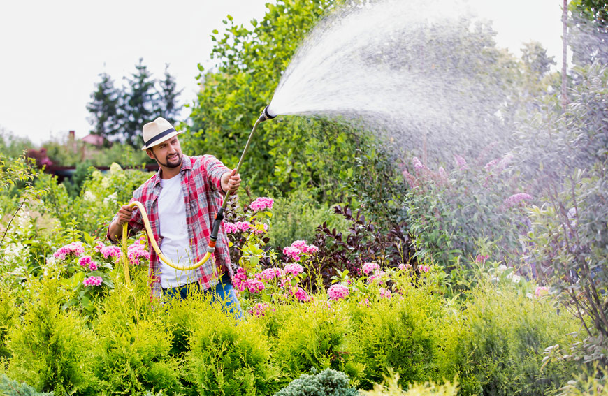 Proper Summer Watering Habits Watering Golden Rules