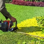 Spring Shrub Trimming: A Homeowner’s Guide to Healthy, Beautiful Landscapes