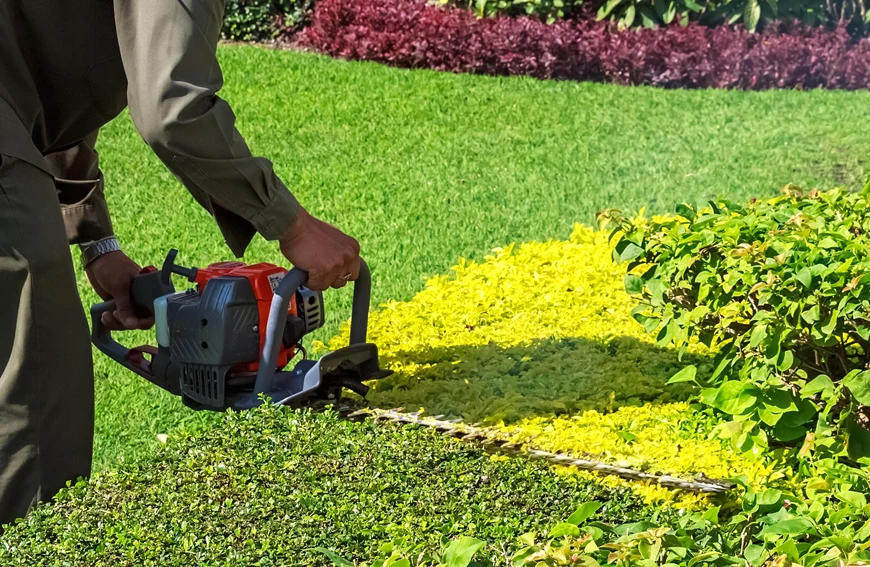 Spring Shrub Trimming Guide