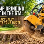 Stump Grinding Cost in the GTA: What Actually Affects Your Quote