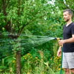Watering Restrictions and Drought Stress What GTA Homeowners Need to Know This Summer