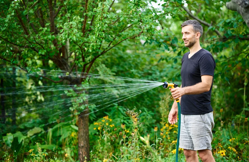Tree Watering Drought Stress Gta 2026